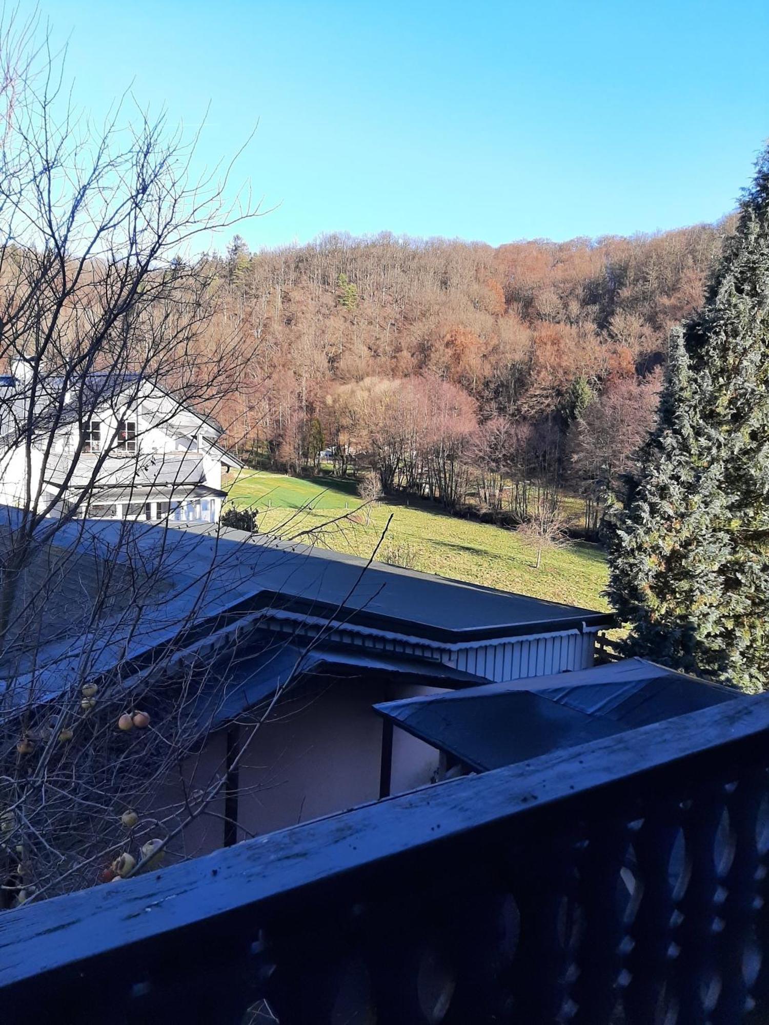 Ferienwohnung Bergblick - a63503 Hallenberg Exterior foto